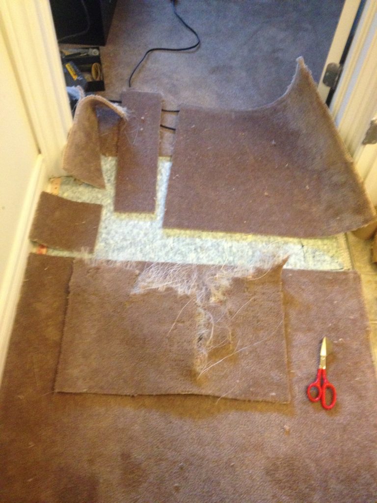 Dog damaged carpet