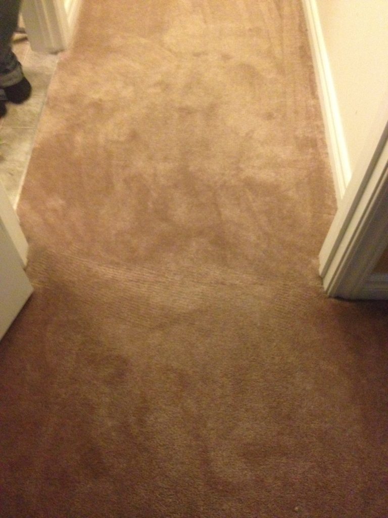 Dog damage carpet fixed